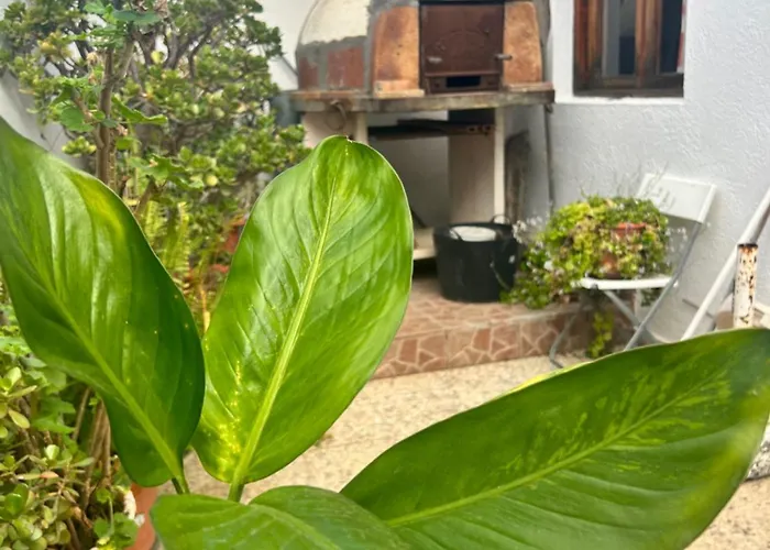 Semesterbostad Teresita Entera Tranquila Llena De Bienestar *